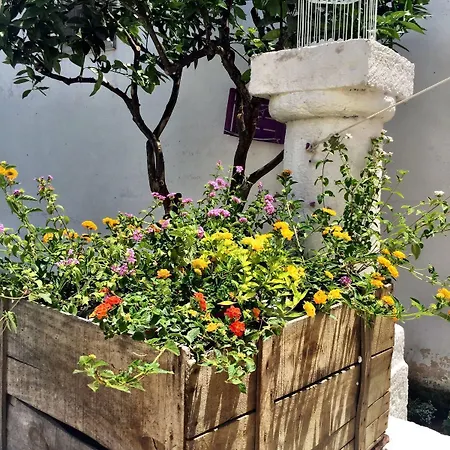 Residenza Celeste