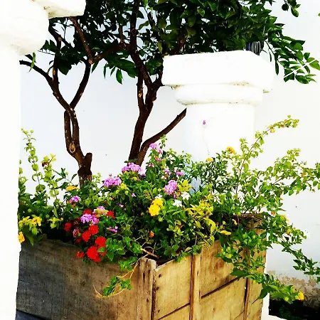 Bed & Breakfast Residenza Celeste 3*