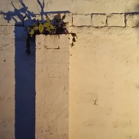 ベッド・アンド・ブレックファスト Residenza Celeste 3*