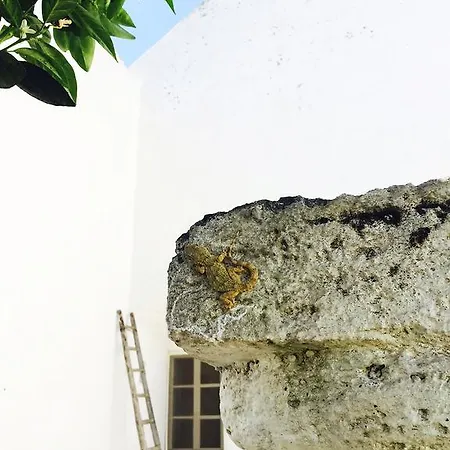 Residenza Celeste
