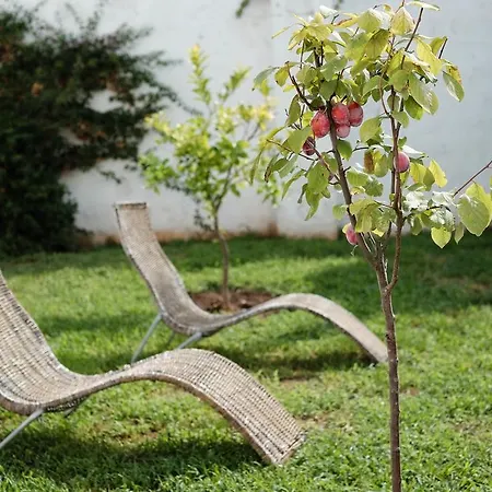 Residenza Celeste Bed & Breakfast Alezio