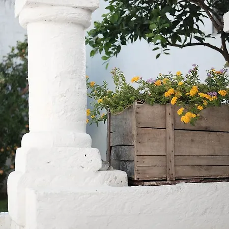 Bed & Breakfast Residenza Celeste