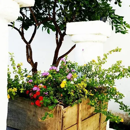 Bed & Breakfast Residenza Celeste *